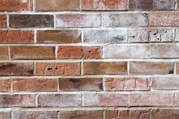 Basement Efflorescence What It Is And, How To Make Brick Basement Walls Look Better